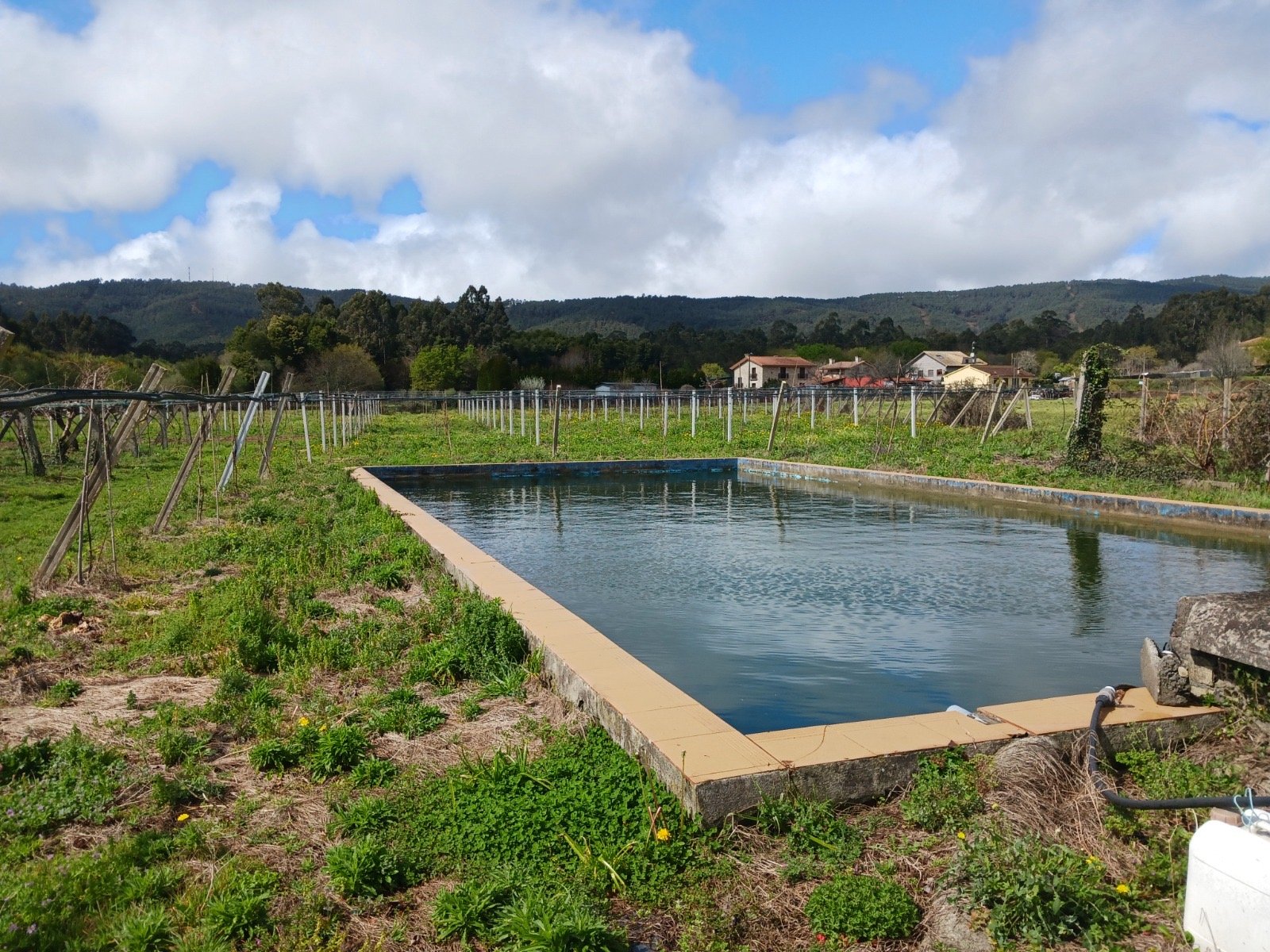Riego sostenible – cultivo de kiwi ecológico en Tomiño